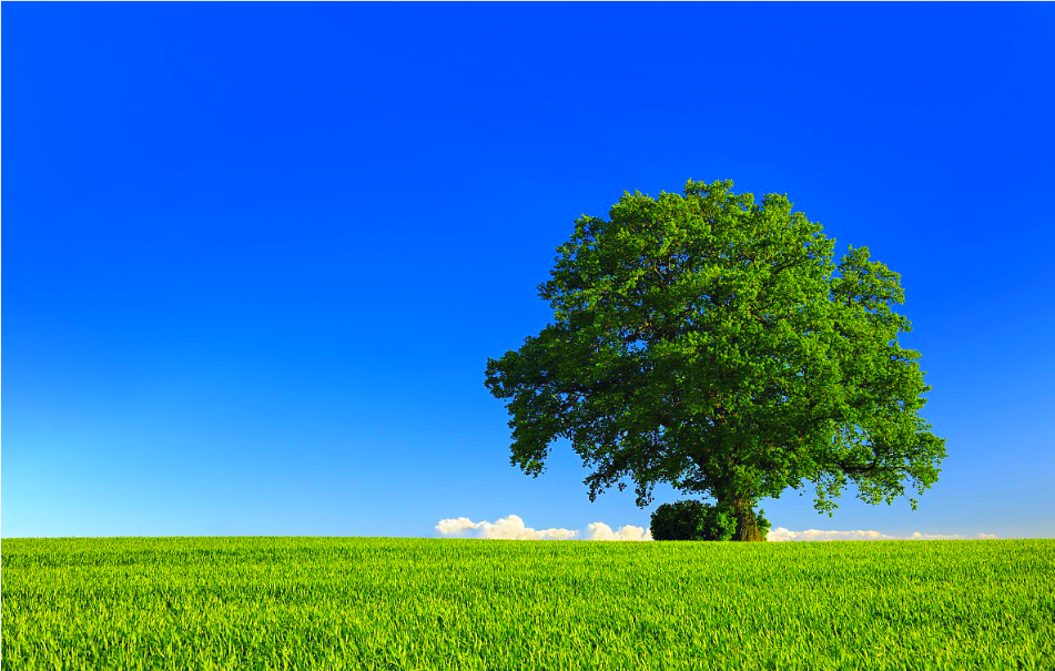 ALR Technologies Sdn Bhd