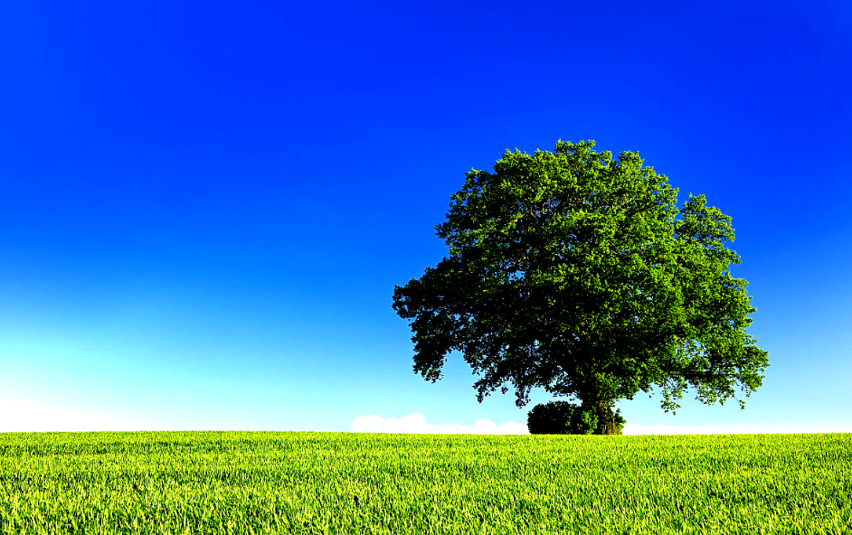 Genius Mind Damansara